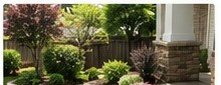 Landscaping and curb appeal