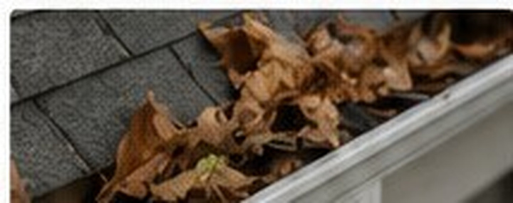 Gutter cleaning